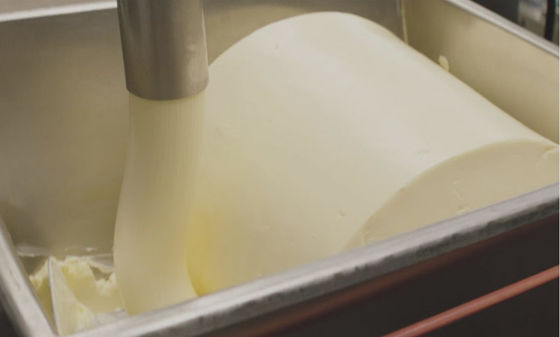 Jak se vyrábí máslo.